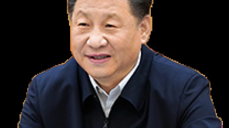 高分子材料加工：揭秘行业领先生产厂家的秘密**
